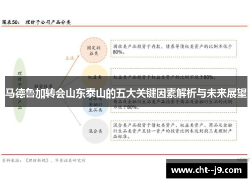 马德鲁加转会山东泰山的五大关键因素解析与未来展望