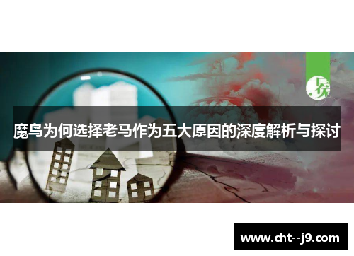 魔鸟为何选择老马作为五大原因的深度解析与探讨